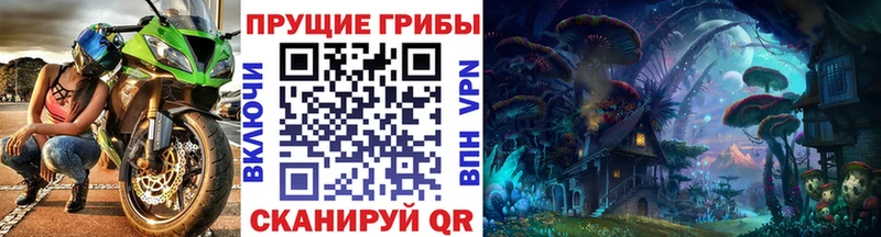 Галлюциногенные грибы прущие грибы  Жиздра 
